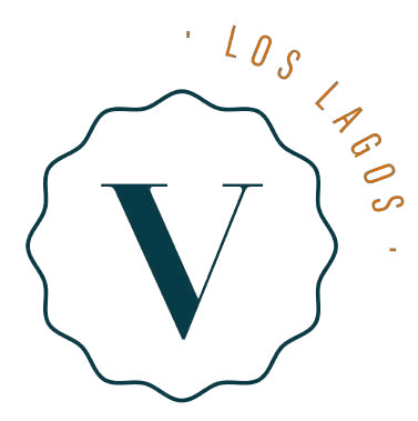 ViaVita Logo